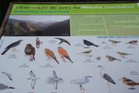 Levadawanderung nach Balcoes (6)