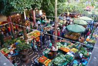 Markthalle Funchal (7)