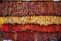 Markthalle Funchal (8)