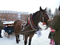 Strbske Pleso  Schlittenfahrt