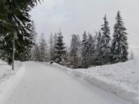 Strbske Pleso  Schlittenfahrt