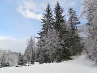 Strbske Pleso  See mit Schanze