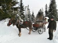 Strbske Pleso  Schlittenfahrt