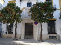 Malerischer Hauseingang in Sevilla