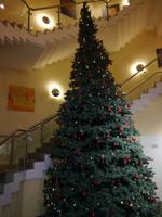Unser Weihnachtsbaum im Hotel.