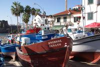 Camara de Lobos (6)