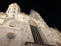 Stephansdom - Wien