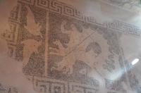 Mosaik der Scylla, Haus des Dionysos