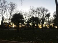 beim Tempel von Debod