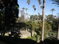 In den Gärten des Alcázar