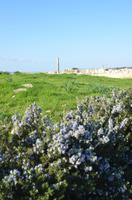 Antike Stadt Kourion