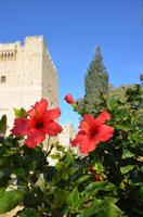 Johanniterburg Kolossi