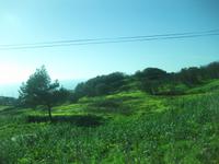 Auf der Fahrt zum Cabo da Roca