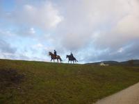 Walhallaritt Ludwig I und Gemahlin