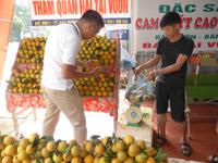 ... diese beiden noch.