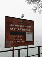 Friedrichhafen Promenade