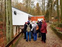 Wir beobachten fleißig...