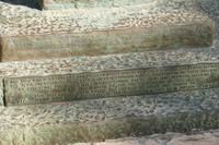 Jerusalem, Parlament Foodmarket – 5 (11)