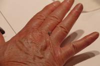 Jerusalem,Daimantenfabrik – 3 (6)