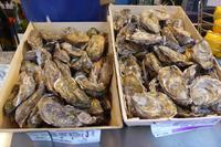 Metz, Austern auf dem Weihnachtsmarkt