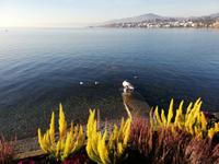 Fahrt von Basel nach Brig, Pause in Montreux am Genfersee