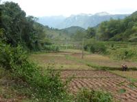 Reisfelder und -terrassen