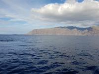 Bootsfahrt entlang der Steilküste von Los Gigantes (22)