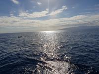 Bootsfahrt entlang der Steilküste von Los Gigantes (1)