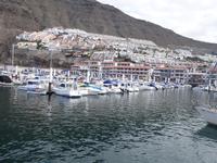Yachthafen in Los Gigantes (1)