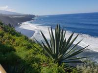 Puerto de la Cruz im Hintergrund