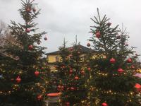 Adventszauber am Schloss Hellbrunn