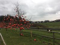 Weihnachten auf Gut Aiderbichl