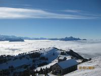 Sonnenschein am Neujahrstag auf der Rigi