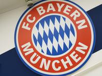 Allianz Arena (5)