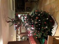 Weißensee_Hotel_Baum