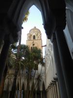 DSCN8985