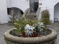 DSCN2394