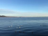 Fotostopp am Chiemsee