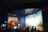 119 Aquarium Sentosa