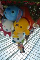 188 Garden by the Bay Flower Dome