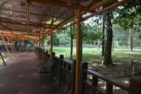 285 Botanischer Garten Putrajaya