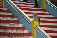 408 Batu Höhlen bei Kuala Lumpur