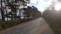 Promenade vor hinter dem Hotel Richtung Binz