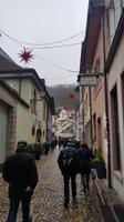 Führung durch die Gassen von Freiburg