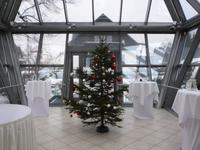 Unser geschmückter Weihnachtsbaum.