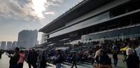 Hong Kong - Pferderennen im Sha Tin Racecourse