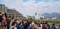 Hong Kong - Pferderennen im Sha Tin Racecourse