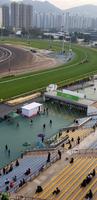 Hong Kong - Pferderennen im Sha Tin Racecourse