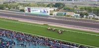 Hong Kong - Pferderennen im Sha Tin Racecourse