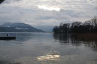 Die Sonne traut sich 